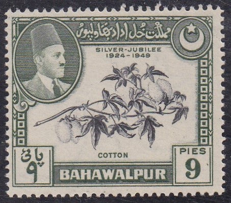 Pakistan - Bahawalpur # 24 (1949) Cotton - Sgl, MNH