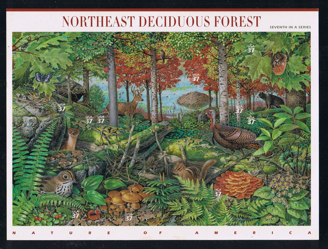 # 3899 (2005) Northeast Forest - Pane, MNH