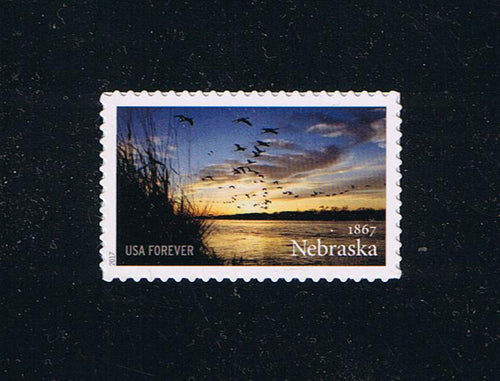 # 5179 (2017) Nebraska Statehood - Sgl, MNH