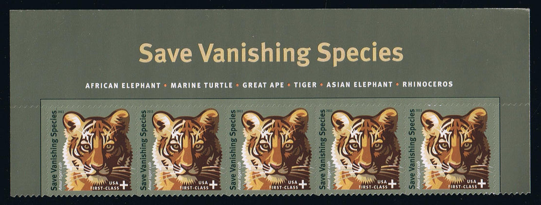 # B4 (2011) Amur Tiger Cub - Top Margin Strip of Five, MNH