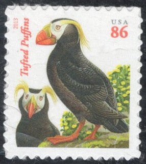 # 4737 (2013) Puffins, orange red date - Sgl, MNH