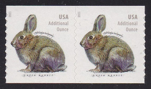 # 5545 (2021) Rabbit - Coil pr, MNH
