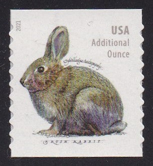 # 5545 (2021) Rabbit - Coil sgl, MNH