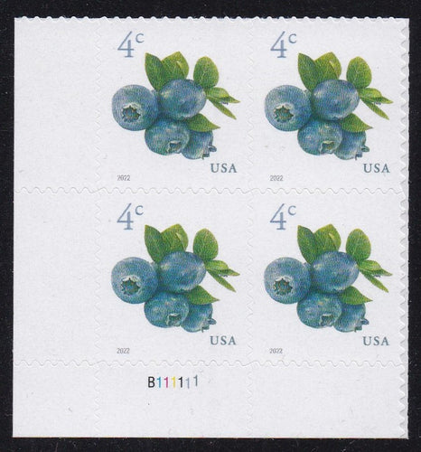 # 5652 (2022) Blueberries - PB, LL #B111111, MNH