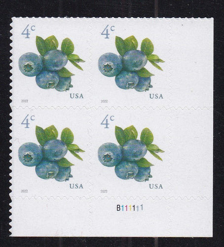 # 5652 (2022) Blueberries - PB, LR #B111111, MNH
