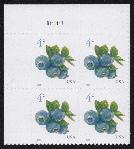 # 5652 (2022) Blueberries - PB, UL #B111111, MNH