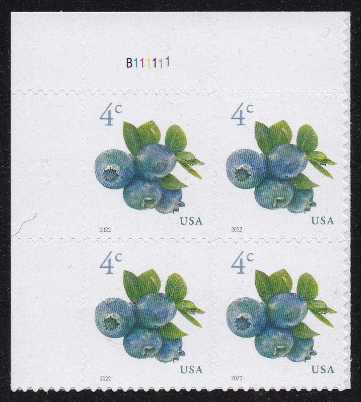 # 5652 (2022) Blueberries - PB, UL #B111111, MNH