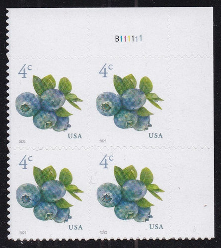 # 5652 (2022) Blueberries - PB, UR #B111111, MNH