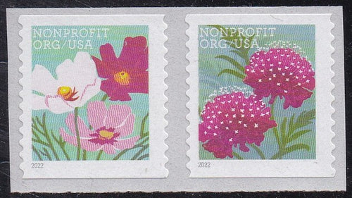 # 5664-65 (2022) Flowers - Coil pr, MNH