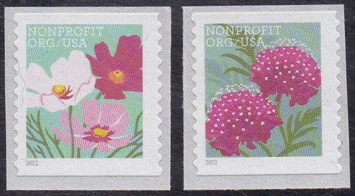 # 5664-65 (2022) Flowers - Coil sgls, Set/2, MNH