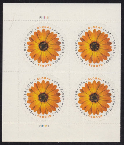 # 5680 (2022) African Daisy - PB, L #P111111, MNH