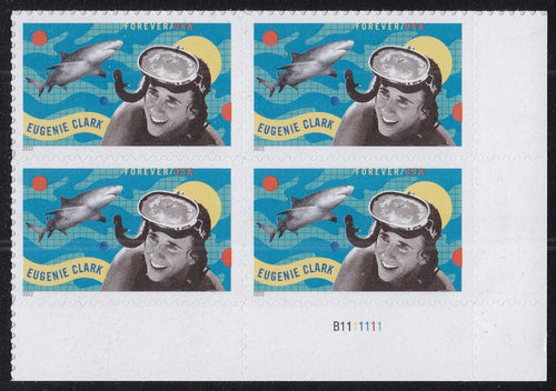 # 5693 (2022) Clark - PB, LR #B11111111, MNH