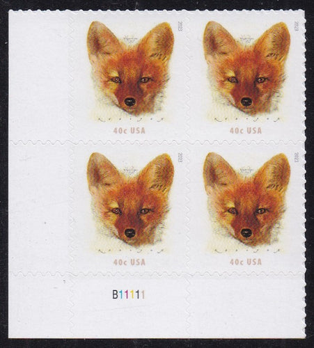 # 5742 (2023) Red Fox - PB, LL #B11111, MNH