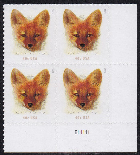 # 5742 (2023) Red Fox - PB, LR #B11111, MNH