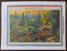 CP570 (1999) Sonoran Desert - Commemorative Panels