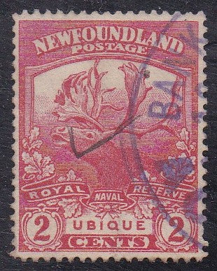 Newfoundland # 116 (1919) Caribou - Sgl, Used