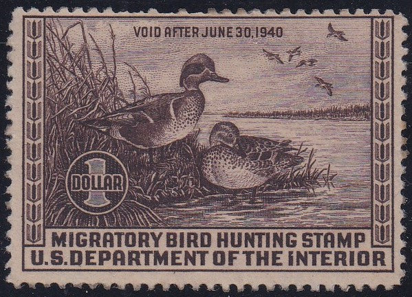 # RW6 (1939) Green-winged Teal - Sgl, MNH (Q)