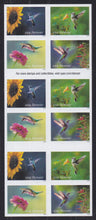 Issued Mar (2024) Hummingbirds - BKLT, #P1111, MNH