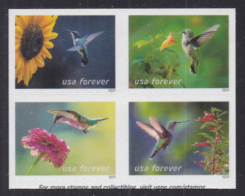 Issued Mar (2024) Hummingbirds - Bklt BK/4, MNH