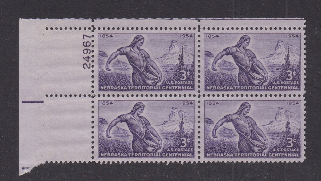 # 1060 (1954) Nebraska Territory - PB, UL #24967, MNH