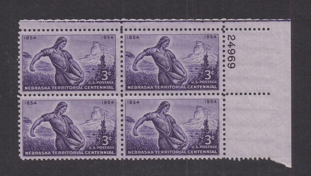 # 1060 (1954) Nebraska Territory - PB, UR #24969, MNH