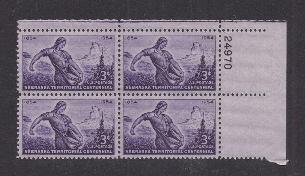 # 1060 (1954) Nebraska Territory - PB, UR #24970, MNH