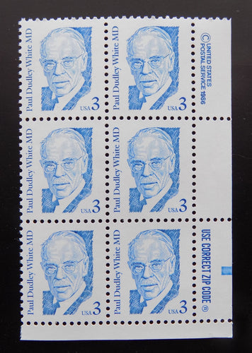 # 2170as (1994) White, bright blue, not tag, SG, perf 11 - Zip BK/6, MNH