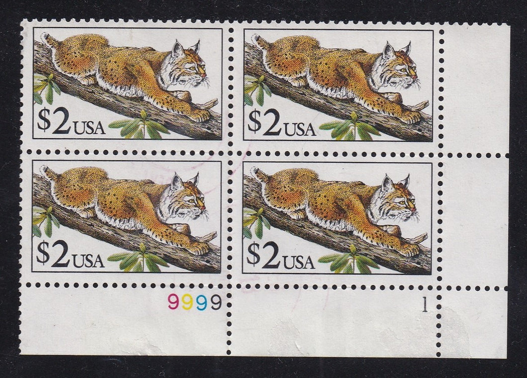 # 2482 (1990) Bobcat - PB, LR #9999-1, Used