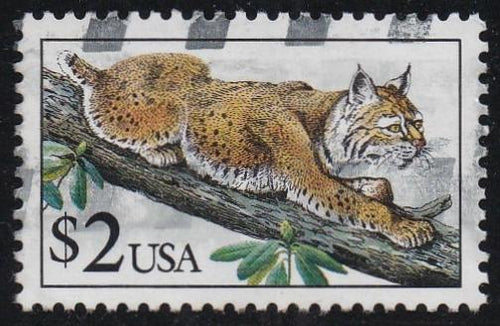 # 2482 (1990) Bobcat - Sgl, Used
