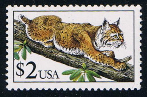 # 2482 (1990) Bobcat - Sgl, MNH