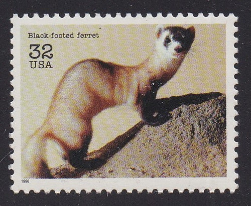 # 3105a (1996) Ferret - Sgl, MNH