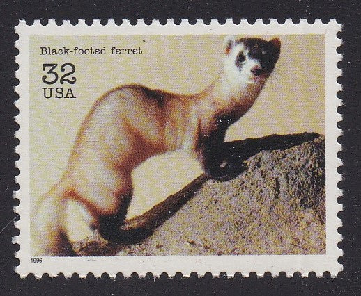 # 3105a (1996) Ferret - Sgl, MNH