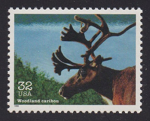 # 3105l (1996) Caribou - Sgl, MNH