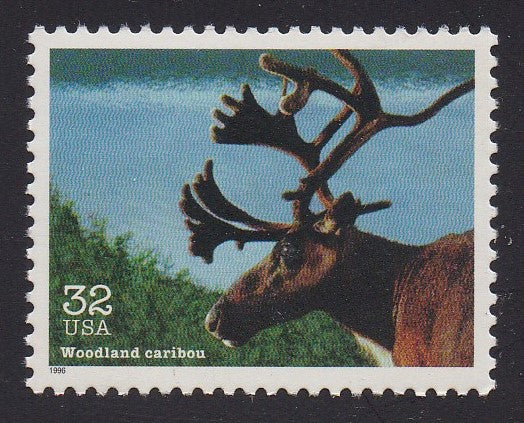 # 3105l (1996) Caribou - Sgl, MNH
