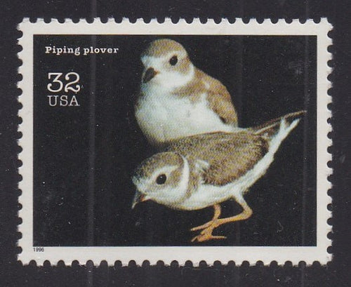 # 3105n (1996) Plover - Sgl, MNH