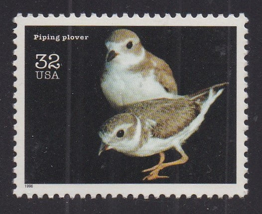 # 3105n (1996) Plover - Sgl, MNH