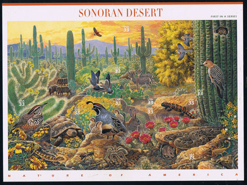 # 3293 (1999) Sonoran Desert - Pane, MNH