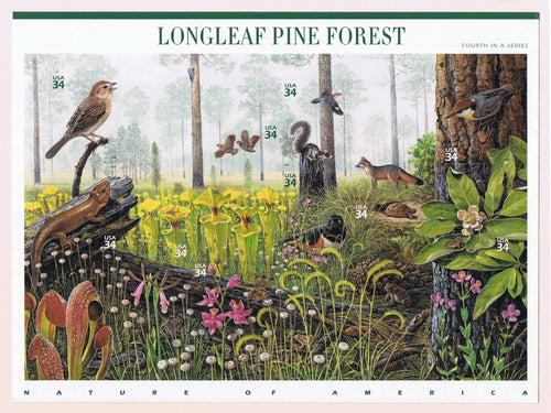 # 3611 (2002) Longleaf Pine Forest - Pane, MNH