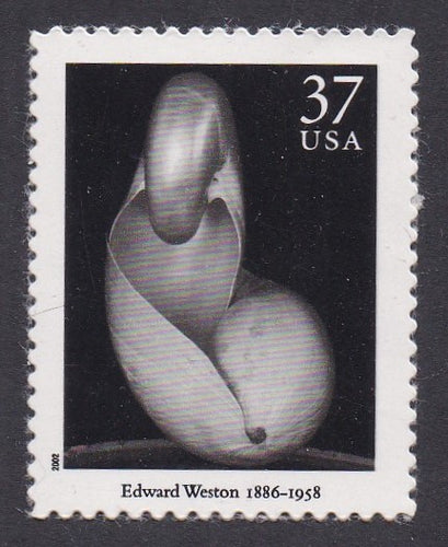 # 3649j (2002) Shells - Sgl, MNH