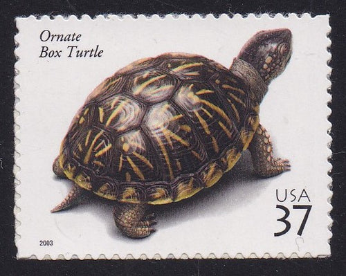 # 3818 (2003) Turtle - Sgl, MNH