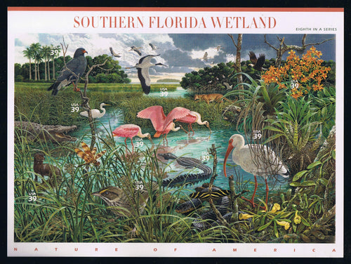 # 4099 (2006) Southern Florida Wetland - Pane, MNH