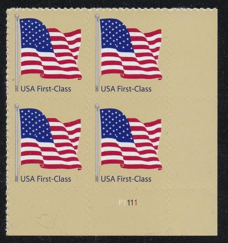 # 4130 (2007) Flag, SA - PB, LR #P1111, MNH