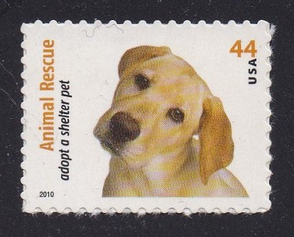 # 4454 (2010) Labrador - Sgl, MNH