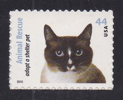 # 4457 (2010) Black, White, Tan Cat - Sgl, MNH