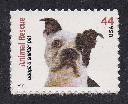 # 4459 (2010) Boston Terrier - Sgl, MNH