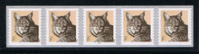 # 4672 (2012) Bobcat - PS/5, plt P2222 with 2-digit Centered Back Number