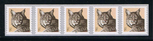 # 4672 (2012) Bobcat - PS/5, plt P2222 with 2-digit Centered Back Number