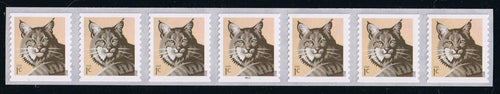 # 4672 (2012) Bobcat - PS/7, plt P2222 with 3-digit 4L Top Back Number