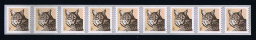 # 4672 (2012) Bobcat - PS/9, plt P2222 with 4-digit 4L Back Number