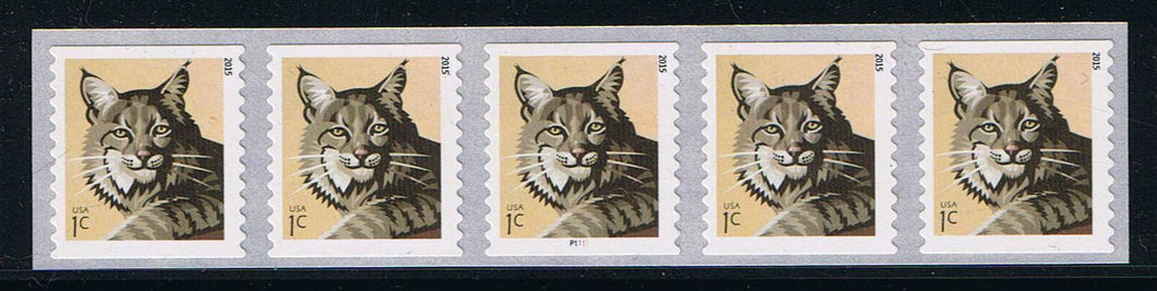 # 4672a (2015) Bobcat - PS/5, plt P1111 with 3-digit Centered, Top Back Number